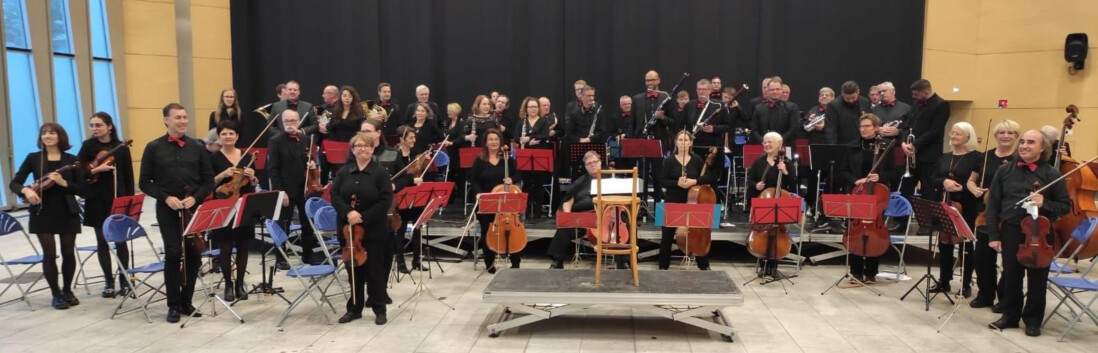 orchestre l'Ephémère de Musedis